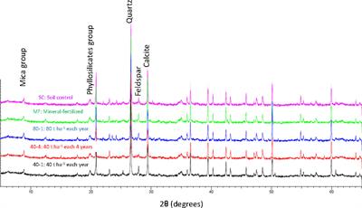 25 years of continuous sewage sludge application vs. mineral fertilizers on a calcareous soil affected pH but not soil carbonates